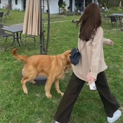 我的野蛮女友2:蛮风再现