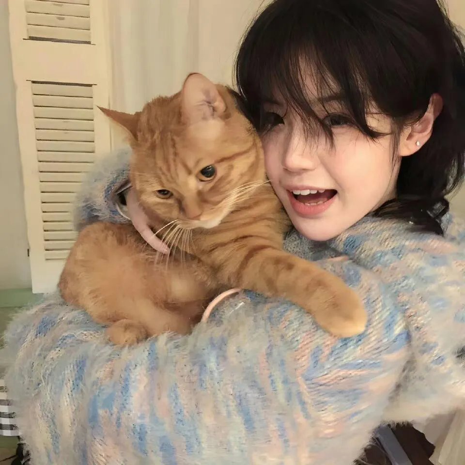 最爱喵星人:我猫威武